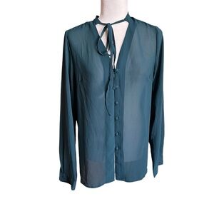 Lulu’s long sleeve sheer pullover shirt